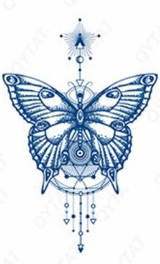 Schmetterlings-Sterne