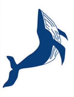 inklove 2 Wochen Tattoo Wal