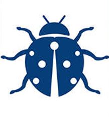 2 Wochen Tattoo inklove Marienkäfer