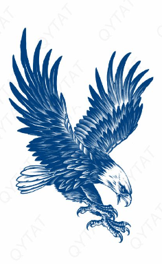 Flying eagle