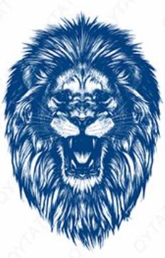 lion power