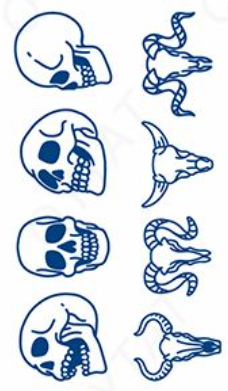 Skull