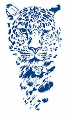 Snow tiger