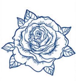 inklove 2 Wochen Tattoo Rose